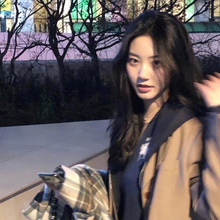 笨鸟满天飞